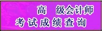 高级会计师考试查询窗口