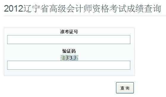 辽宁2012年高级会计师考试查询窗口