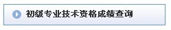 初级会计职称考试成绩查询